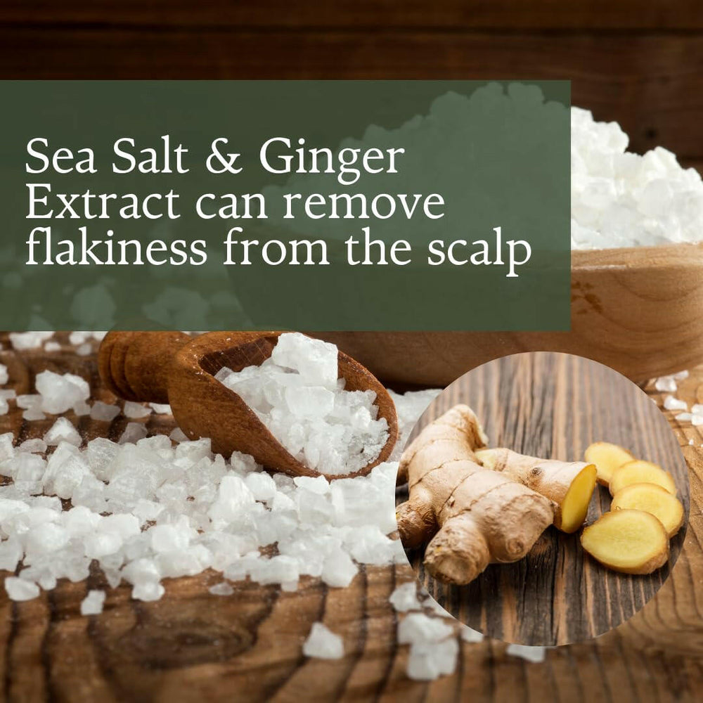 Ginger Hair Revitalizing Shampoo Jar with Deep Sea Salt - Herbishh Hair Dye.