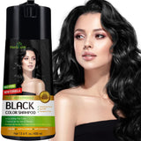 Black PPD Free Hair Color Shampoo - Herbishh