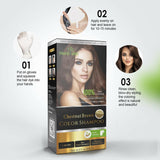 Chestnut Brown Hair Color Shampoo 500ml- Herbishh Hair Dye Easy to use